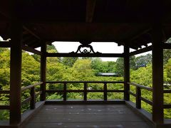 ２０１９．５．３０～６．１　１９回目の結婚記念日旅行は青紅葉の京都と大阪　その９　～　東福寺と東山　ここでまるなちゃん大爆発　～