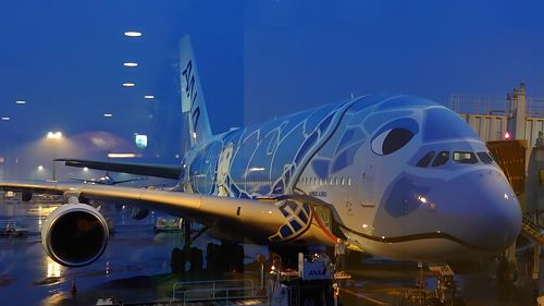 うなりさん確認用ANAフライングホヌ約50cm 楽天市場】ana flying honuの通販