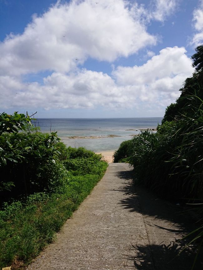 今年もやってきました6月末！<br /><br />毎年この時期に梅雨明けを狙っての4泊5日、沖縄家族旅行！　今年は久々に本島をチョイス。プールで選んだマリオットに泊まり、名護、今帰仁、古宇利島、北部を攻めます！<br /><br />いつも沖縄旅行では、毎日昼食は沖縄そば！　今回はどんなものが食べられるか楽しみです。<br /><br />ちなみに、ここ5年位は毎夕食は予め予約して行きます。そのほうが安心して遊べることを知ったからです。石垣の焼肉やまもとなんて2か月前に予約してました…。<br /><br />今年は異常気象のせいで、出発する週は那覇に避難勧告がでるくらいの大雨・・・さて、どうなることやら。雨の日バージョンの予定は全く立てていないのに…。<br /><br />10歳、５歳児の相手も大変ですが、楽しみます！