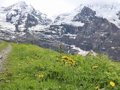 スイス　花と絶景の旅　②グリンデルワルトWengernalp～Wengen