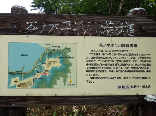 白根山登山を計画しましたが、雨のため、半月山に変更して登りました。