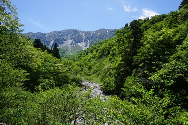 米子の近郊の観光地といえば、今だと境港の水木しげるロードがナンバーワン。始めだけのちょっとしたブームなのかと思っていましたが、ますます賑わいが出てきている感じです。<br />ただ、伝統的には、大山に皆生温泉かな。ただ、大山の方は交通の便があまりよくない。無料直行シャトルバスがあってアクセスがいいとっとり花回廊の方に今は観光客が集中しているという話も聞きました。<br /><br />かつて米子に住んでいたことがある私ですが、そんなこんなで、縁遠くなっていた大山。今回は、松江ホーランエンヤの渡御祭と中日祭の間に日が空いたので、思い切って訪ねることにしてみました。でも、まあ、車を飛ばせば、あっという間。登山とかを考えないなら、主要な見どころは本当にお手軽。何のことはないんですよね～<br /><br />それでも、大山寺に豪円山から桝水高原。初夏の美しい緑がまぶしくて、気分爽快。懐かしさもあるし、ちょっと心の癒しにもなったように思います。