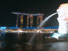 シンガポールトランジット観光！夜まで遊び倒す！