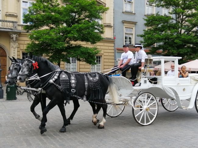 年に一度の息子との旅行、今年はポーランド。<br /><br />その2は、クラクフの街歩きと帰国の旅行記です。<br />ワルシャワからは、電車EIPでクラクフへ。<br />観光できたのは、クラクフ到着日の午後と、翌日の午後だけ。<br />ヴィエリチカにも行きたかったのですが、そうすると街歩きの時間がかなり少なくなってしまうと、今回は諦めました。<br /><br />