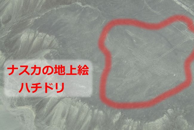 2018年12月、少し贅沢な南米旅行となりました。<br />ANAビジネスクラスの利用です!!<br />日本からペルー(アメリカ経由)まで片道約24時間でした。しかし疲労感は少なめ・・。<br />訪問した観光地のうち人気の世界遺産は、やはり旅行者が多かった・・。<br />マチュピチュはオフシーズン(雨季)でしたが、世界的気象異常が原因なのか天候に恵まれ、快適に観光&写真撮影ができました。(雨天装備を使用しませんでした)<br />少しリッチなツアー?が起因したのかツアー参加者数は8名です。小規模グループですのでスケジュールは比較的スムーズ(写真撮影やトイレで「待ち時間なし」など)でした。しかし、旅行会社主催のツアーですので、やや過密スケジュールの観光(修業???)となりました。<br /><br />■■■日程■■■<br />12/9 伊丹 →NH2178(1h20m)→ 成田 →NH6(9h45m)→ ロサンゼルス →LA2477(9h)→ リマ ●リマ泊<br /><br />12/10 午前:自由時間 午後:リマ市内観光 ●リマ泊<br /><br />12/11 午前:リマ →LA2027(1h)→ クスコ クスコ市内観光 午後:クスコ →バス(2h)→ オリャンタイタンボ →列車(2h)→ マチュピチュ ●マチュピチュ泊<br /><br />12/12 午前:マチュピチュ観光 午後:自由時間 夕方:マチュピチュ →列車(2h)→ オリャンタイタンボ →バス(2h)→ クスコ ●クスコ泊<br /><br />12/13 クスコ →LA2010(1h)→ リマ →LA2223(4h)→ イグアス ●イグアス泊<br /><br />12/14 午前:イグアスの滝観光(アルゼンチン) 午後:イグアスの滝ボートツアー(アルゼンチン) ●イグアス泊<br /><br />12/15 午前:自由時間 午後:イグアスの滝観光(ブラジル) イグアス →LA2223(4h)→ リマ ●リマ泊<br /><br />★12/16 午前:リマ →バス(3h30m)→ ピスコ ナスカ地上絵遊覧飛行(1h30m) 午後:ピスコ →バス(3h30m)→ リマ<br /><br />★12/17 リマ →LA2476(9h)→ ロサンゼルス →NH5(12h)→ 成田 ●機中泊<br /><br />★12/18 成田 →NH2179(1h)→ 伊丹