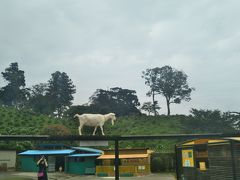 南房総の旅②　麻綿原高原～八天堂～ドイツ村