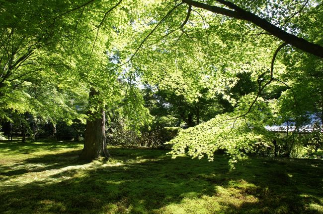 京都旅行記