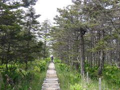 落石岬灯台　森と湿原をまっすぐ木道で抜けて岬へ