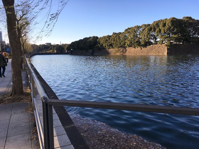 2018年、テーマを決めて1年計画で街を歩こうと思いました。<br />前の年は、地下街というテーマで都内各地を歩いてきました。<br />年が変わり、この年は水辺の街というテーマにしました。<br /><br />目標は1か月に1か所くらい。<br />行き先は海とか川とか池といった、水のある場所。<br />前から行きたかった場所とか、行きそこねた場所とかを絡めて。<br /><br />2018年初回の1月は、GINZA SIXに行って来ました。<br />屋上庭園があって、銀座の街が360度よく見えました。<br />行きたかった場所ではあるけど、水っ気はイマイチな銀座。<br />仕方がないので近くの日比谷濠まで足を伸ばしました。<br /><br />寒い日が続く中、この日はちょっと寒さも和らいでました。<br />配電ボックスの上で猫たちが日向ぼっこするほどに。<br />何がどうして猫たちはこんな状況になったのやら。<br />