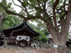 尾道三部作♪時をかける少女ロケ地♪艮神社クスノキ♪監視社会尾道イーハトーヴ猫の細道♪尾道ベッチャー祭り♪あこう悶絶♪2019年７月尾道徘徊７