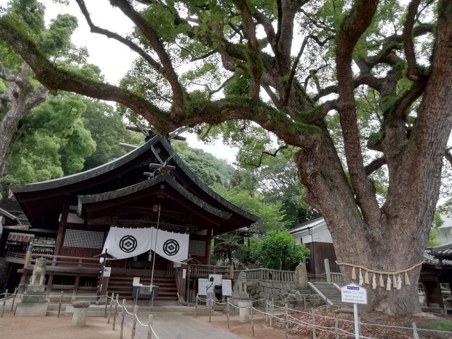 7月6日 尾道徘徊(尾道向島渡船~千光寺公園~文学の小径~千光寺他)<br />7月7日 しまなみ海道~馬島~来島海峡大橋~大山祇神社~尾道徘徊