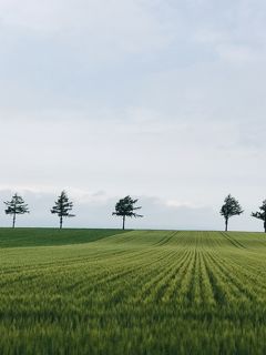 北海道 気ままな旅 4日目