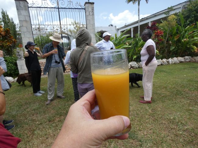 セントアン ゲデスグレートハウス(Geddes Great House, St.Ann, Jamaica)