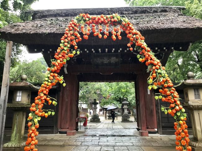 2019年7月 ゲゲゲの鬼太郎の棲む街調布散歩 深大寺＆布多天神社七夕祭