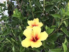 まだまだ余裕の２日目