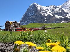 スイス　花と絶景の旅　④グリンデルワルトハイクとユングフラウヨッホ