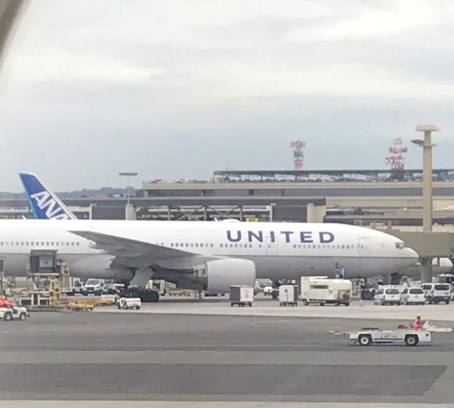 昨年に続いて今年もハワイひとり旅をしようかと思っていたのですが、フラをやっていてハワイ好きな叔母が「6月なら私も行きたい!UAのマイルが足りるようなら2人分特典航空券でもいいし」と言うので、一緒に行くことになりました。<br /><br />9日目は、帰国する日。ユナイテッド航空は10時台のフライトなので、朝起きたら空港へと言う流れです。前夜パッキングやりかけで寝落ちしてしまったので、起きて大慌てで仕上げました(笑)。