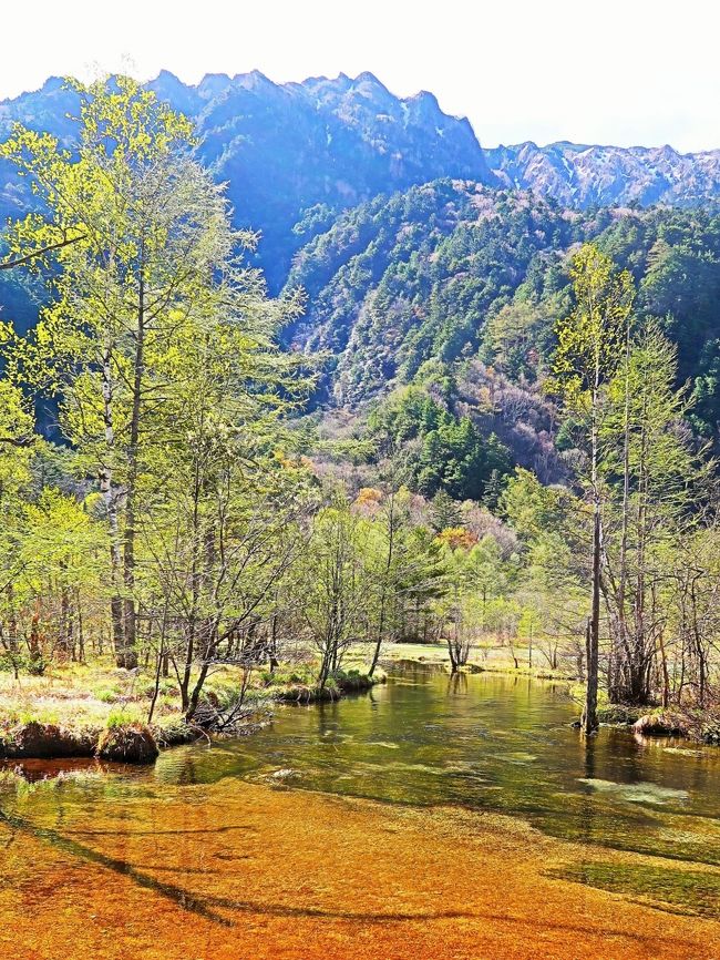 田代池(たしろいけ)は長野県松本市の上高地内にある景勝地。 <br />田代池は隣接する大正池とともに、大正時代に焼岳 (2,455 m) の噴火により流れ出た溶岩が梓川左岸の支流である千丈沢をせき止めたことでできた浅い池であり、周囲は湿原になっている。六百山や霞沢岳からの伏流水が湧き出ている。周囲は猿などの動物が多く見られる。水面に北アルプスの山並みが映るほど、水の透明度が高く、イワナなどの川魚が生息している。 <br /><br />南側には長野県道24号上高地公園線があり、上高地バスターミナルの手前に帝国ホテル前と大正池のバス停がある。<br />(フリー百科事典『ウィキペディア(Wikipedia)』より引用)<br /><br />田代池 については・・<br />https://www.kamikochi.or.jp/learn/spot/%E7%94%B0%E4%BB%A3%E6%B1%A0%E3%83%BB%E7%94%B0%E4%BB%A3%E6%B9%BF%E5%8E%9F<br />https://shinshu-style.com/matsumoto-region/city-matsumoto/tashiroikepond/<br />