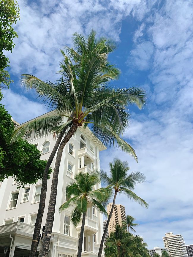 Hawaiiに行きたいね〰️(^_^)/~~<br />こんなツアーがあるけど、行く?<br />「行く行く」と何の迷いもなく手をあげた四人での珍道中。<br />ダイヤモンドヘッド登頂やザ・バスを使ってのラニカイビーチ。<br />バタバタしながらも大笑いの楽しい旅でした。<br />二日目