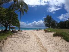 ②2019年6月 年に一度のハワイ旅行～2日目.3日目～