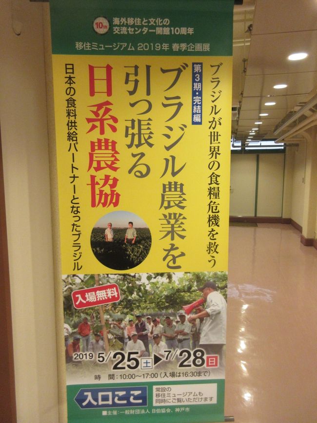 神戸市中央卸売市場に10時に到着したら、アイツ居てへんがな・・<br /><br />しゃーないな、海外移住と文化の交流センターで油でも売ろか<br /><br />CBK=関西ブラジル人コミュニティと日伯協会に顔を出して<br /><br />途中コンビニでランチして、また市場に戻りまひょ<br /><br /><br />