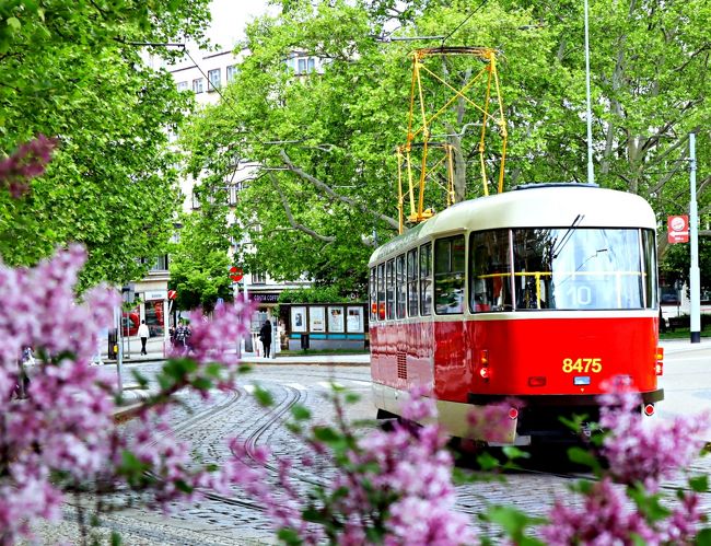 転職期間を利用し、初めての一人旅に出ることにしました。<br />旅行期間は思い切って3週間。<br />チェコ、オーストリア、ポーランド、ちょっぴりドイツを周遊しました。<br />最初に訪れる都市は、古き良きヨーロッパを感じる美しいプラハの街。<br />