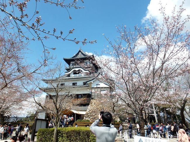 岩手県の旅行会社「岩手北観光」のツアーで、桜の季節に五大名城巡りをして来ますた。<br />平成最後2019年4月1日～4月3日、二泊三日の旅行です。<br />この旅行と同じ月にグアム旅行さ行ったので記憶がアヤフヤだども旅行記を作ります。<br /><br />実はこの旅行に思い入れがなく、単純にフォートラベルで知り合って仲良しになった大阪在住の「ラムロールちゃん」に会えると言う理由だけで母と一緒の旅行に行く事にしますた♪<br /><br />お母さん、ごめんなさい。城でもねえ、桜でもねえ。<br />オラ、ラムロールちゃんに会いに大阪さ行きたかったんだ。<br /><br />※この旅行記は名古屋～神戸観光です。ラムロールちゃんは次の旅行記でお会いします。