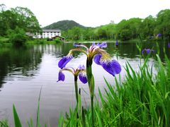 長電沿線の旅（須坂・志賀高原・渋温泉・小布施）