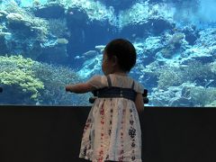 笑っちゃうくらいずっと雨！1歳8ヶ月の娘と！夏休み沖縄旅行！！