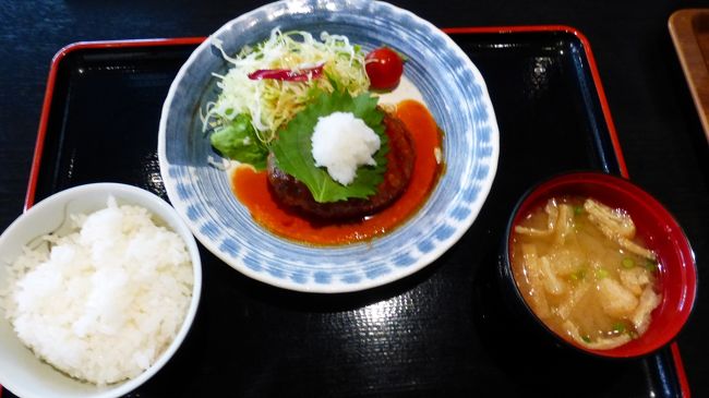 もう福岡市内に9年以上住んでいるのですが、九州新幹線に乗った事がなく、またその機会も中々なかったのですが、連休を取っていたので、この機会に九州新幹線に乗って、熊本市内1泊2日旅に行く事にしました。<br /><br />本当は全線乗って鹿児島まで行きたい所なのですが、鹿児島まで行くとお得感のある割引切符がない為、お得感のある割引切符がある熊本に行く事にしました。<br /><br />そのお得感のある割引切符は、JR九州のホームページからのネット予約(7日前までに予約が必要)で購入出来る、「つばめ限定!九州ネット早特7」です。<br /><br />JR九州公式サイト:http://www.jrkyushu-kippu.jp/fare/ticket/194?_ga=2.143638454.2070121.1562664236-637679818.1523961115<br /><br />これ利用だと、博多~熊本間のつばめ(各駅停車)の指定席が、2,350円なのです。<br />ちなみに、この料金は、博多~熊本間のJR普通運賃や、高速バス運賃に少し足した金額なので、かなりお安いのです。<br /><br />今回の、日程行程は下記の通りです。<br /><br />7月7日(日)<br /><br />博多 11:41-新幹線つばめ321号(800系)-熊本 12:30<br /><br />800系新幹線公式サイト:https://www.jrkyushu.co.jp/trains/800/<br /><br />熊本市内散策<br /><br />リッチモンドホテル熊本新市街 泊<br /><br />公式サイト:https://richmondhotel.jp/kumamoto/<br /><br />楽天トラベルスーパーセール&600円のクーポン利用<br /><br />コーナーダブルルーム(20平米) 5,600円<br /><br /><br />7月8日(月)<br /><br />熊本 13:10-新幹線つばめ324号-博多(N700系) 14:00<br /><br />N700系新幹線公式サイト:https://www.jrkyushu.co.jp/trains/700/<br /><br /><br /><br />「リッチモンドホテル熊本新市街」にチェックイン後、ホテル1Fの「いねや」でランチを食べた時の様子です。<br /><br />いねや公式サイト:https://richmondhotel.jp/kumamoto/dishes/