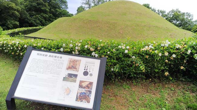 夏旅３日目。奈良に行きました。<br />きっと暑いので東大寺と法隆寺まわって午前中で早めにホテルに戻ろうって考えていたのですがそんなに暑くなかったので明日香まで行きました。<br />レンタルした自転車ブリヂストン製で高級だったけど前に借りたところより安かった。前に借りたの外国製で電動だったけどなんかペダル漕いでたらかくかくして嫌な感じだったので今回は良かった。<br />高松塚から鬼の雪隠にいって亀石、カメガタ石、酒船石、飛鳥寺、蘇我入鹿首塚、石舞台に行って東大寺に向かう。<br />近鉄京都線の車内で指から流血したのでティッシュでおさえてゴムで巻いていたら前の席のマダムに絆創膏をいただきました。<br />マダムありがとうございました。東大寺の後、法隆寺に行って大阪に戻りました。<br />高松塚古墳付近にはカブトムシやクワガタムシが出そうな気配があります。