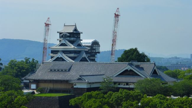 もう福岡市内に９年以上住んでいるのですが、九州新幹線に乗った事がなく、またその機会も中々なかったのですが、連休を取っていたので、この機会に九州新幹線に乗って、熊本市内１泊２日旅に行く事にしました。<br /><br />本当は全線乗って鹿児島まで行きたい所なのですが、鹿児島まで行くとお得感のある割引切符がない為、お得感のある割引切符がある熊本に行く事にしました。<br /><br />そのお得感のある割引切符は、ＪＲ九州のホームページからのネット予約（７日前までに予約が必要）で購入出来る、「つばめ限定！九州ネット早特7」です。<br /><br />ＪＲ九州公式サイト：http://www.jrkyushu-kippu.jp/fare/ticket/194?_ga=2.143638454.2070121.1562664236-637679818.1523961115<br /><br />これ利用だと、博多～熊本間のつばめ（各駅停車）の指定席が、２，３５０円なのです。<br />ちなみに、この料金は、博多～熊本間のＪＲ普通運賃や、高速バス運賃に少し足した金額なので、かなりお安いのです。<br /><br />今回の、日程行程は下記の通りです。<br /><br />７月７日（日）<br /><br />博多　１１：４１－新幹線つばめ３２１号（８００系）－熊本　１２：３０<br /><br />８００系新幹線公式サイト：https://www.jrkyushu.co.jp/trains/800/<br /><br />熊本市内散策<br /><br />リッチモンドホテル熊本新市街　泊<br /><br />公式サイト：https://richmondhotel.jp/kumamoto/<br /><br />楽天トラベルスーパーセール＆６００円のクーポン利用<br /><br />コーナーダブルルーム（２０平米）　５，６００円<br /><br /><br />７月８日（月）<br /><br />熊本　１３：１０－新幹線つばめ３２４号－博多（Ｎ７００系）　１４：００<br /><br />Ｎ７００系新幹線公式サイト：https://www.jrkyushu.co.jp/trains/700/<br /><br /><br /><br />熊本市役所１４Ｆ展望ロビーから見た「熊本城」などの様子です。<br />