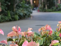 ④2019年6月 年に一度のハワイ旅行～6日目.7日目～