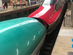 19年6月 3歳子連れ 東京母子旅行 小鉄の東京駅 新幹線見学 丸の内 大手町 八重洲 東京 の旅行記 ブログ By すずさん フォートラベル 19年6月 3歳子連れ 東京母子旅行 小鉄の東京駅 新幹線見学 丸の内 大手町 八重洲 東京 の旅行記 ブログ By すずさん フォートラベル