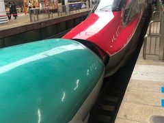 2019年6月  ３歳子連れ、東京母子旅行① ～小鉄の東京駅、新幹線見学～