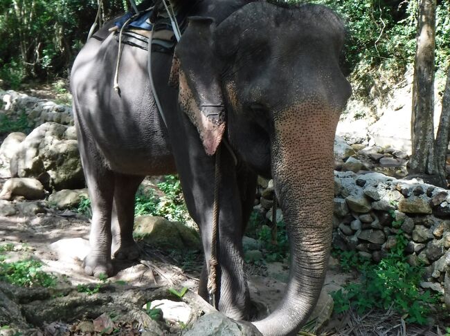 Koh Samui《2》～Namuang Waterfall・Chaweng～