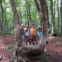 2019夏の花旅（１）白馬岩岳　ねずこの森自然探勝路