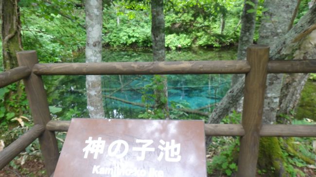 道東5日目、朝の散歩で中標津の4つの登録文化財をめぐってホテルへ帰ってきました。<br />今日の予定は、厚床の伊藤牧場での「ミニ・フットパス撤退」のリベンジを予定していました。中標津のフットパスを利用して、牧場を歩いてモアン山に登ろうという計画です。厚床の撤退を中標津で取り返そうという目論見です。<br /><br />しかし、これが出来なくなりまたもや「予定は未定」状態へ。<br />地図を見ていた配偶者の呟きは「裏摩周・神の子池は響きにロマンがあるな」<br />この一言で、ロマンを求めて裏摩周・神の子池巡りにいきます。<br />それでも時間はまだ充分にあります。<br />次に出てきたのが野天湯巡りでした。<br />