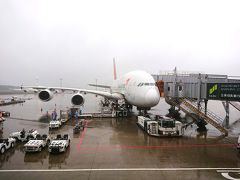 あおばのソウル旅日記① アシアナ航空A380搭乗！