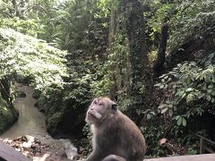 バリ島女一人旅～ウブド編②～