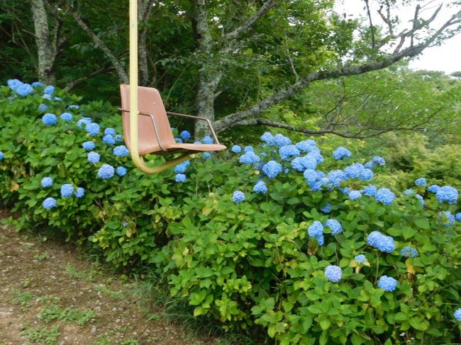 大阪観光なのに何故か山を目指す。<br />地図を見ると大阪府よりも兵庫県にいる方が多かった。