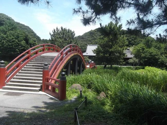 横浜金沢区にあるあまり知られていない称名(しょうみょう)寺を訪ねてみました.浄土を表す浄土庭園があり,池に架かる反橋(そりばし)はなかなかユニークでした.名前は聞いていても行ったことがなかった隣接する金沢文庫にも行きました.<br /><br />称名寺は北条実時が創建し,当初は浄土宗だったが後に真言律宗に変わっている.庭園は貞顕(実時の孫)の時に造られ,浄土を表す浄土庭園となっている(宇治平等院も池がある浄土庭園の形態).特に反っている反橋は特徴的でした.<br /><br />金沢北条家の菩提寺で,金沢北条家は北条義時(政子の弟で第2代執権)の息子・北条実泰が初代だが,実泰は精神不安定につき27歳で出家したので,その子の北条実時が実質上の初代となる.顕時(あきとき),貞顕(さだあき)と続き,貞顕は第15代執権にもなっている.鎌倉幕府滅亡とともに滅ぶ.<br /><br />武家の文庫として金沢文庫を作ったのも北条実時であり,その後も蔵書の収集が図られた.鎌倉幕府滅亡後は称名寺の管理下になり,昭和5年(1930)から神奈川県立の歴史資料館となっている.今回は関東で浄土宗の基礎を作った聖冏(しょうげい)の特別展「浄土宗七祖聖冏と関東浄土教」があり,常福寺(茨木県那珂市)から多数の仏像,絵画,書が来ていました.<br /><br />源頼朝の後,波乱続きだった鎌倉幕府について学ぶ機会にもなりました.<br />
