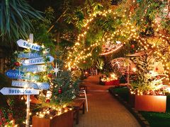 東京－福岡　2018年12月のいろいろ（TDLとグルメの備忘録）