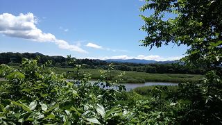 東京発日帰り？ワンデー岩手2019・07