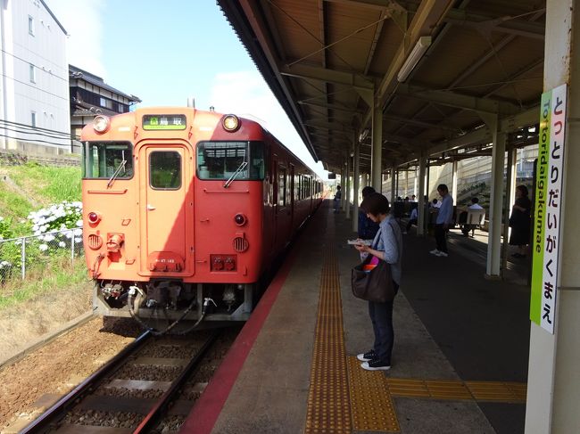 ４月のおおさか東線に続いて、神戸に行く用事ができました。<br /><br />おおさか東線に乗りに行ったときには、結局近江鉄道や信楽高原鉄道など、滋賀県内の鉄道を経由して行ったのですが、実は鳥取から特急スーパーはくとに乗って大阪入りする案も検討していたんです。<br />ところが、いつものように動き出すのが遅くて、スーパーはくとの展望席は空いておらず、それじゃあなあ･･･と、この案はボツになりました。<br /><br />ボツにはなったのですが、一時は鳥取に行く気になっていたので、ちょうどいい機会なので行ってみることにしました。このエリアに行くのは、20数年ぶりなんです。<br /><br />そして、鳥取から爬虫類的な動き（笑）で、岡山県方面に南下していくルートをたどってみることにしました。<br />ということで結局、スーパーはくとには乗ってません（笑）<br /><br />まずは、羽田から鳥取に飛びます。時間があれば鳥取砂丘にでも行ってみたかったのですが、時間が中途半端だったこともあり、ならばとちょっと凝ったルートで市内に向かってみました。