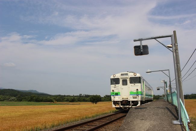 来年のGWで廃線が決まった学園都市線・札沼線の北海道医療大学～新十津川区間。<br />１両のデイーゼルカーがゆっくり走るローカル線で、終点の新十津川駅には１日１本しか列車が来ません。<br />この夏は札沼線にとって最後の夏です。<br />７月２０日からは、青春１８きっぷのお客が殺到すると思われたので、平日に久しぶりに札沼線に乗り歩きしてきました。<br /><br />札沼線　①　石狩当別～札的<br />https://www.youtube.com/watch?v=_gaFUamYSG0&amp;t=15s<br /><br />札沼線　②　札的～新十津川<br />https://www.youtube.com/watch?v=EIwoulOhY3g&amp;t=10s<br /><br />札沼線　③　新十津川で折り返し<br /><br />https://www.youtube.com/watch?v=bJCa4Vkjz4s&amp;feature=youtu.be