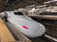 2019年夏九州北部鉄道旅行18（新幹線・特急乗り継いで帰途）