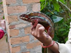 マダガスカル、アンダシべ