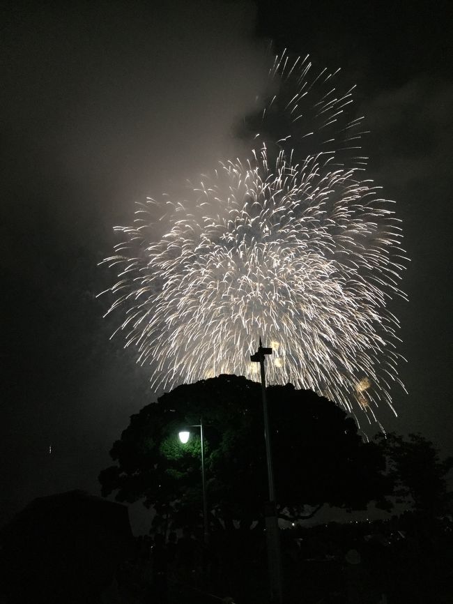 横浜の友だちに7月に花火あるけど遊びに来る？て誘われて、そんなのあるんだ… メインの横浜花火は8月にあるからトワイライトは三千発か、じゃ、大したことないだろうと思ってたら  音楽ありでとっても立派な花火大会でした。