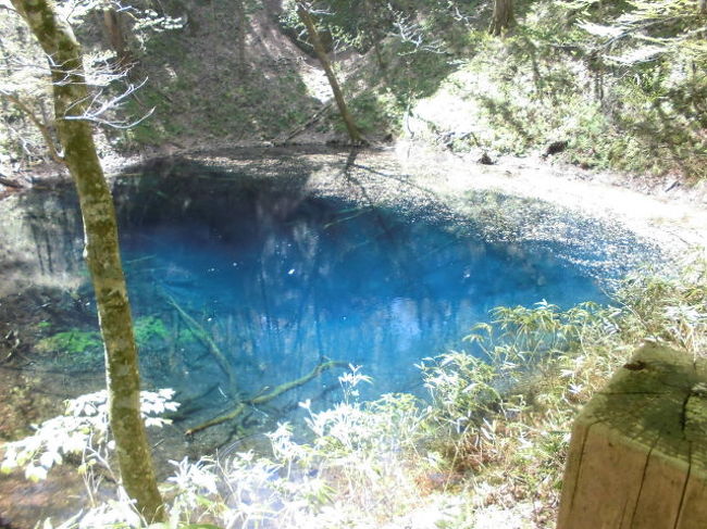 この日は青森西側　岩木山周辺です<br /><br />不老不死温泉と　青池と…<br /><br />嶽温泉まで足を延ばしました